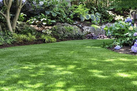 Choosing the Right Grass Type