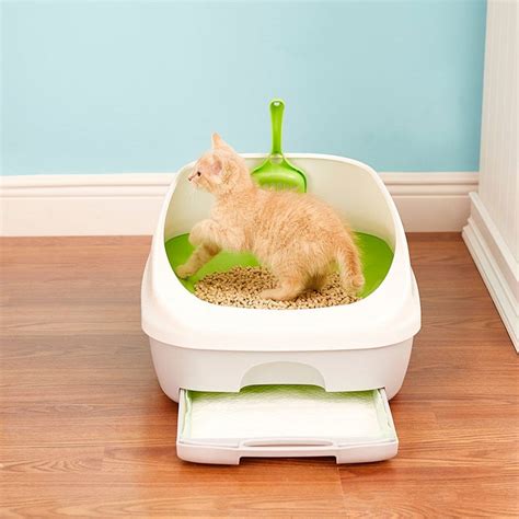 Choosing the Right Tidy Cat Litter Box