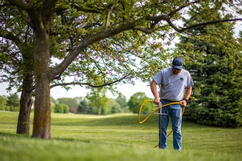 Choosing the Right Tree Species