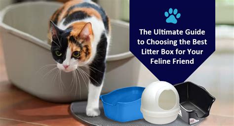 Choosing the Ultimate Litter Box for Your Feline Friend