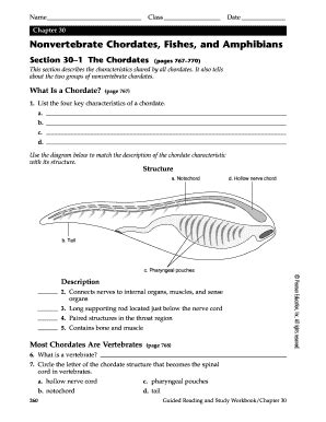 Chordate Answer Key Epub