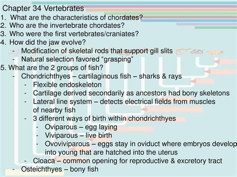 Chordates Vertebrates Bony Fish Questions Answers Epub