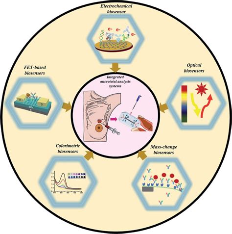 Christa Celia: A Cutting-Edge Approach to Breast Cancer Detection and Diagnosis