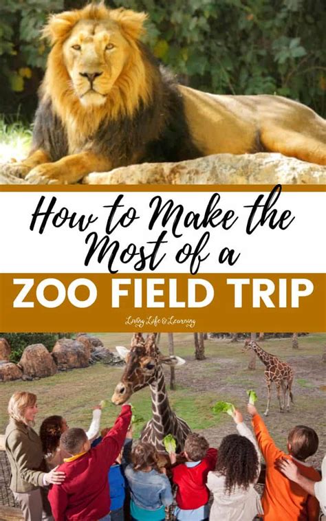 Christian's Trip to the Zoo PDF