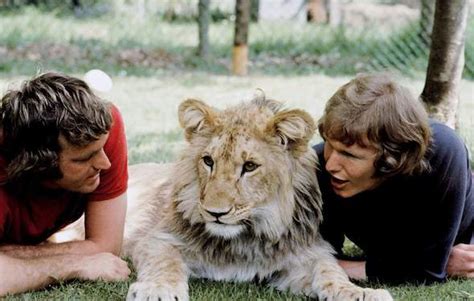 Christian the Lion