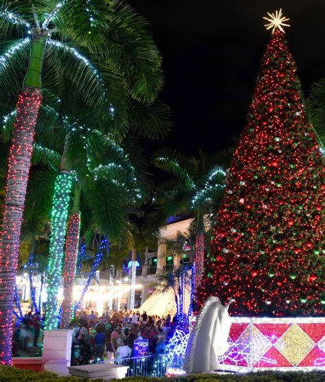 Christmas Activities in Miami: A Tropical Holiday Extravaganza