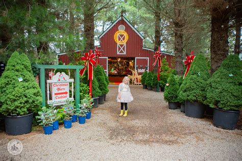 Christmas Farm Reader