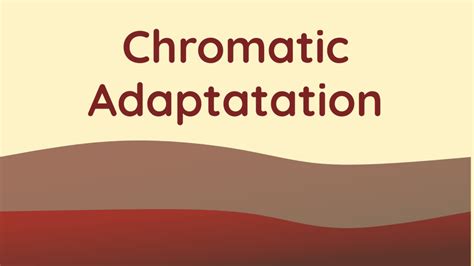 Chromatic Adaptations: