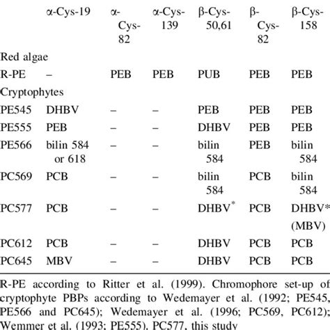 Chromophore Composition: