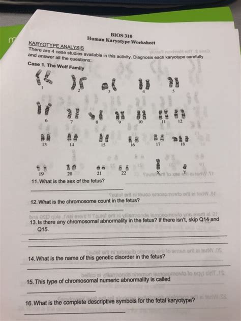 Chromosome Karyotype Review Answer Key Reader