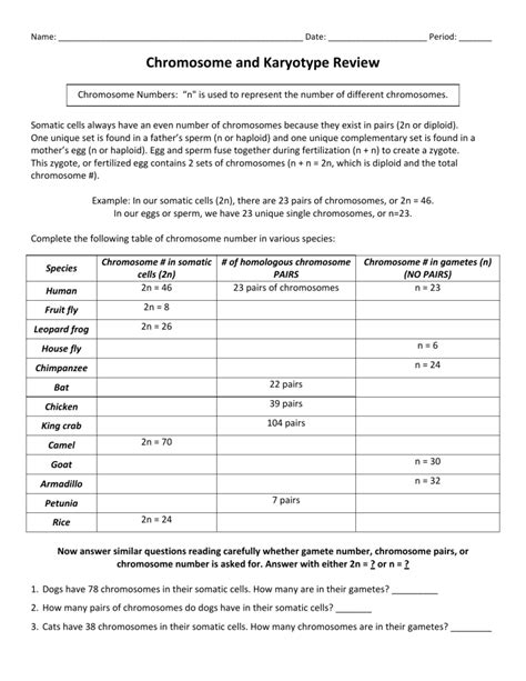 Chromosome Karyotype Review Answer Key Reader