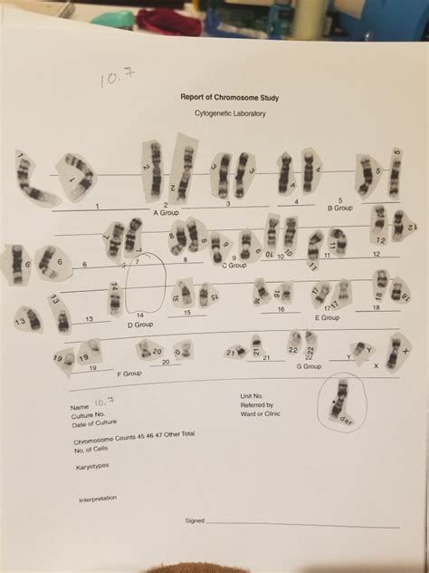 Chromosome Study Lab Answers Doc