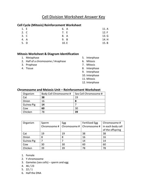 Chromosomes And Meiosis Unit Reinforcement Answer Key Kindle Editon