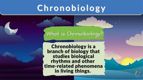 Chronobiology