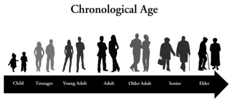 Chronological aging: