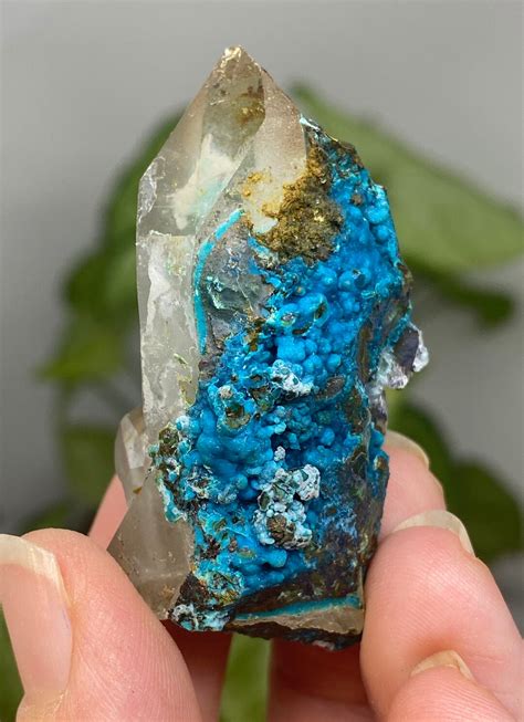 Chrysocolla and Quartz: A Vibrant Duo with Captivating Properties