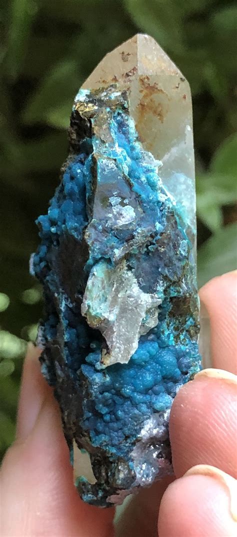 Chrysocolla in Quartz: Unraveling the Synergistic Essence