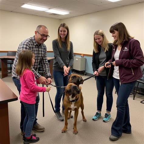 Chula Vista Humane Society: Providing Hope and Healing to 10,000+ Animals Annually