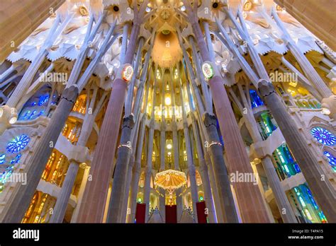 Church of the Holy Family: A Barcelona Masterpiece (1882-2026)