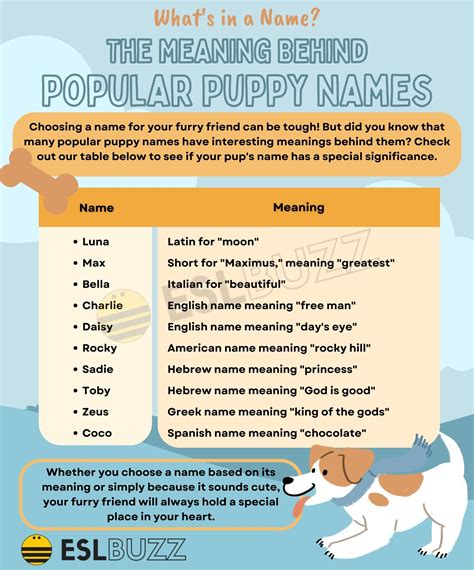 Ciao, Bella! Captivating Italian Puppy Names to Enchant Your Furry Friend