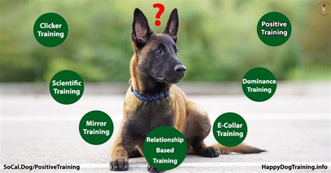 Cidolfus: The Unconventional Dog Training Paradigm