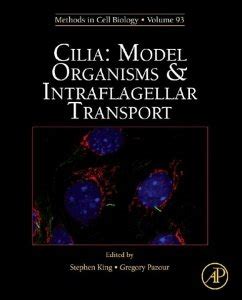 Cilia Model Organisms and Intraflagellar Transport, Vol. 93 Reader