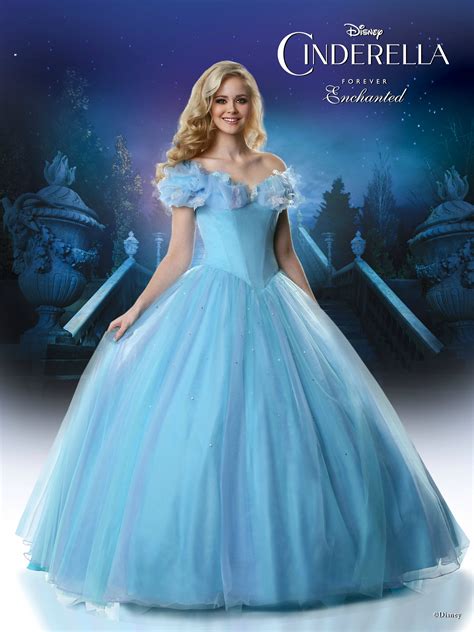 Cinderella's Enchanted Gown