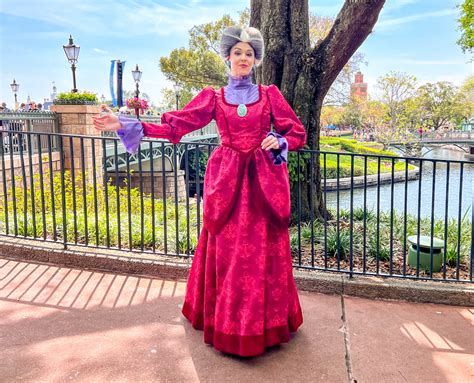 Cinderella Stepmother Costume: A Journey Through Evil Charm