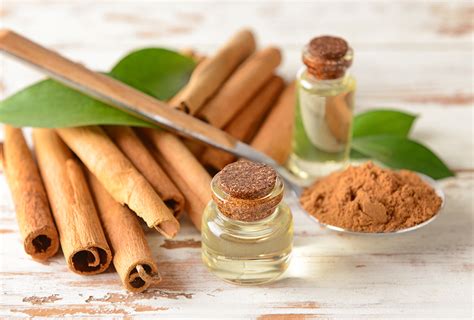 Cinnamon All: A Culinary and Medicinal Delight