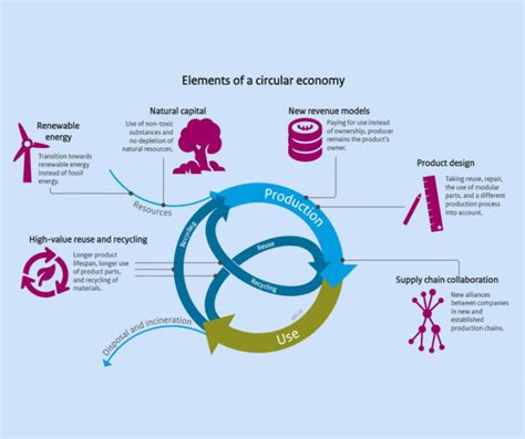 Circle Foundation: Empowering Circular Economy Through Collaboration and Innovation