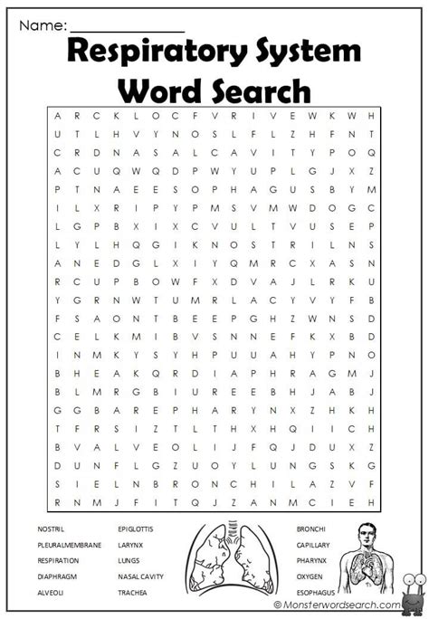 Circulatory And Respiratory System Hidden Word Answers Doc