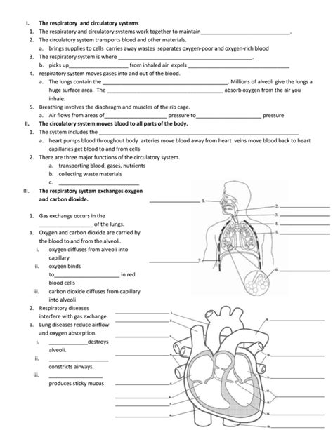 Circulatory And Respiratory Systems Web Lab Answers Doc