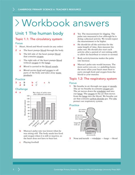 Circulatory And Respiratory Systems Web Lab Answers Doc