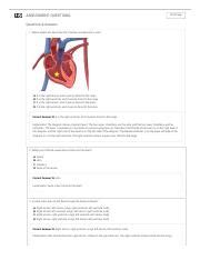 Circulatory System Gizmo Answers Explore Learning PDF