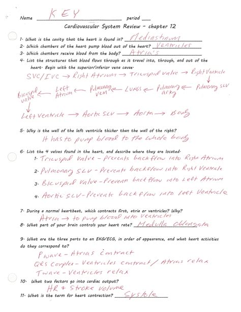 Circulatory System Review Answer Key Reader