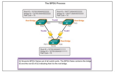 Cisco Netacad Exam Answers V5 Epub