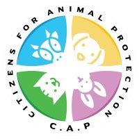 Citizens for Animal Protection: 2023 Report on Progress and Challenges