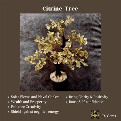 Citrine Clusters: A Radiant Gemstone for Abundance, Clarity, and Energy