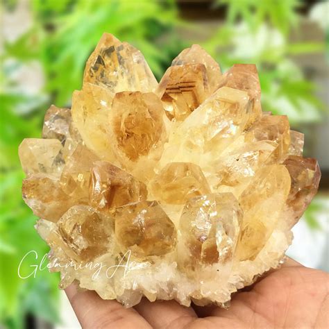 Citrine Clusters: The Sun's Rays Embodied in Stone