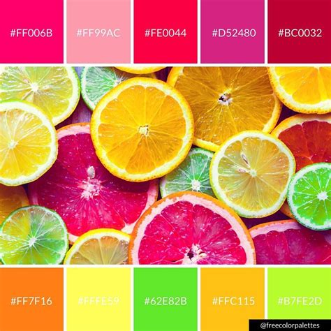 Citrus Brights: A Zesty Guide to the Power of Color