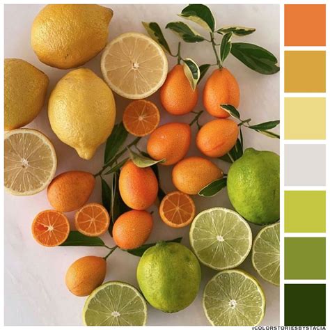 Citrus Colors: The Perfect Hue for Your Health and Home