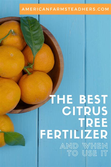 Citrus Fertilizer: The Ultimate Guide to Feeding Your Citrus Trees