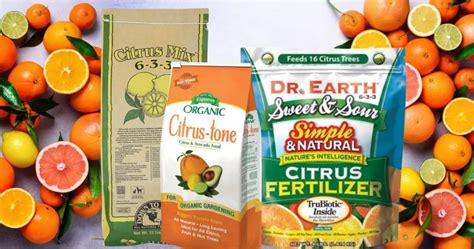 Citrus Fruit Tree Fertilizer: The Ultimate Guide to Growing Bountiful Fruits