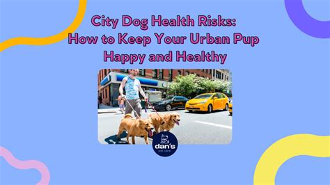 City Dogs Cleveland Ohio: The Ultimate Guide to Keeping Your Pup Happy in the City