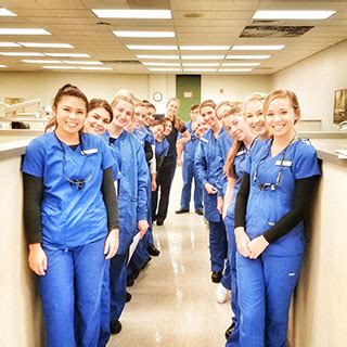 City Tech Dental Hygiene: 4,500+ Graduates, 200 Courses, 80 Full-Time Faculty