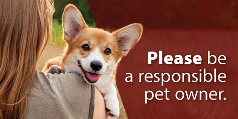 City of Cleveland Animal Control: A Comprehensive Guide for Responsible Pet Ownership