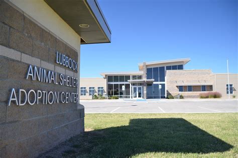 City of Lubbock Animal Control: A Comprehensive Guide