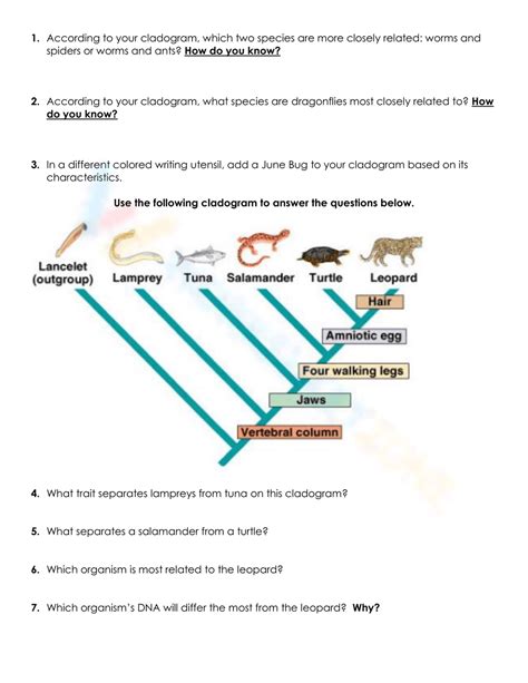 Cladogram Practice Answers Key PDF