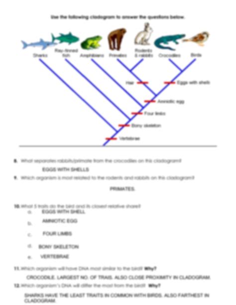 Cladograms Answer Key Reader