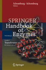 Class 2 Transferases VII EC 2.5.1.31 - 2.6.1.57 2nd Edition Kindle Editon